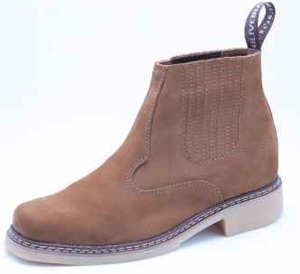 bota agropecuaria